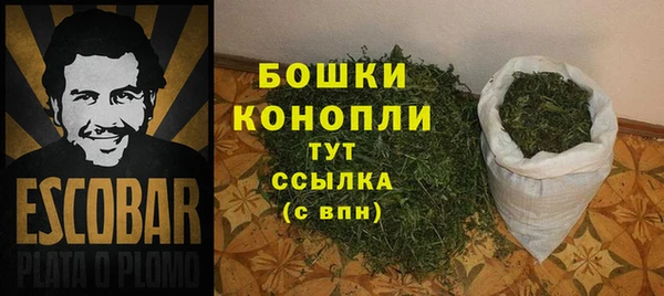 спиды Гусь-Хрустальный